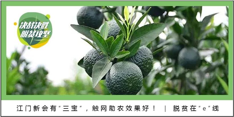 为5毛钱吵了半个月，丰巢在广东“处境”如何？