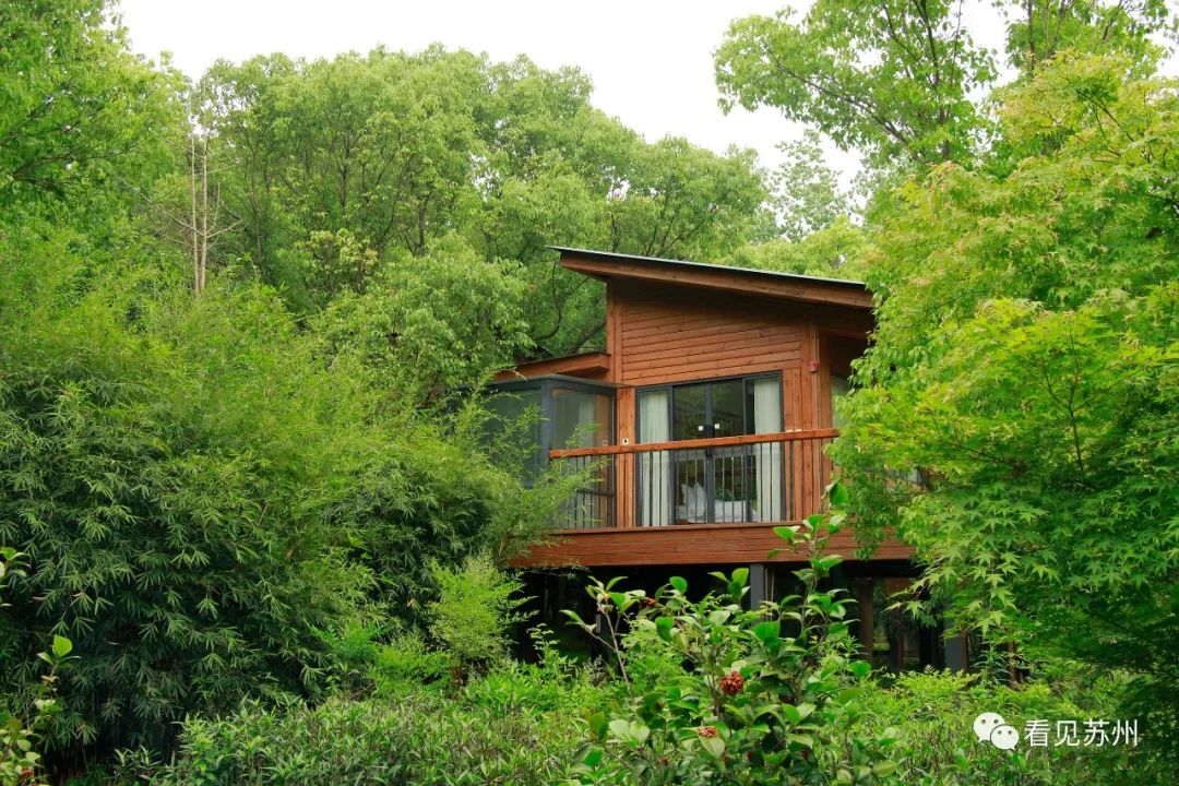 苏州森林里野奢树屋,苏州泡温泉度假的地方推荐