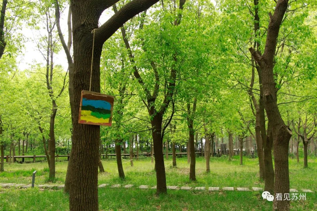 苏州森林里野奢树屋,苏州泡温泉度假的地方推荐