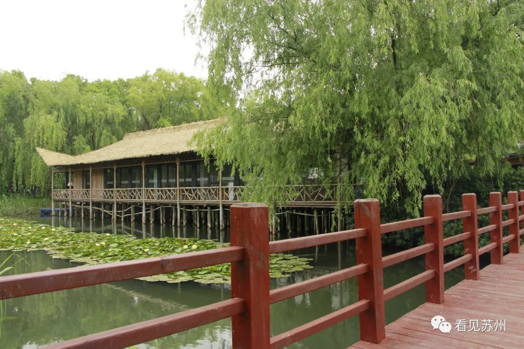 苏州森林里野奢树屋,苏州泡温泉度假的地方推荐