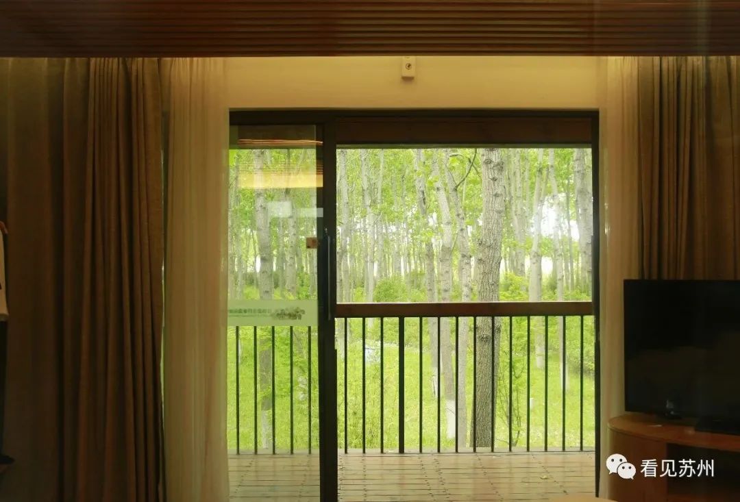 苏州森林里野奢树屋,苏州泡温泉度假的地方推荐