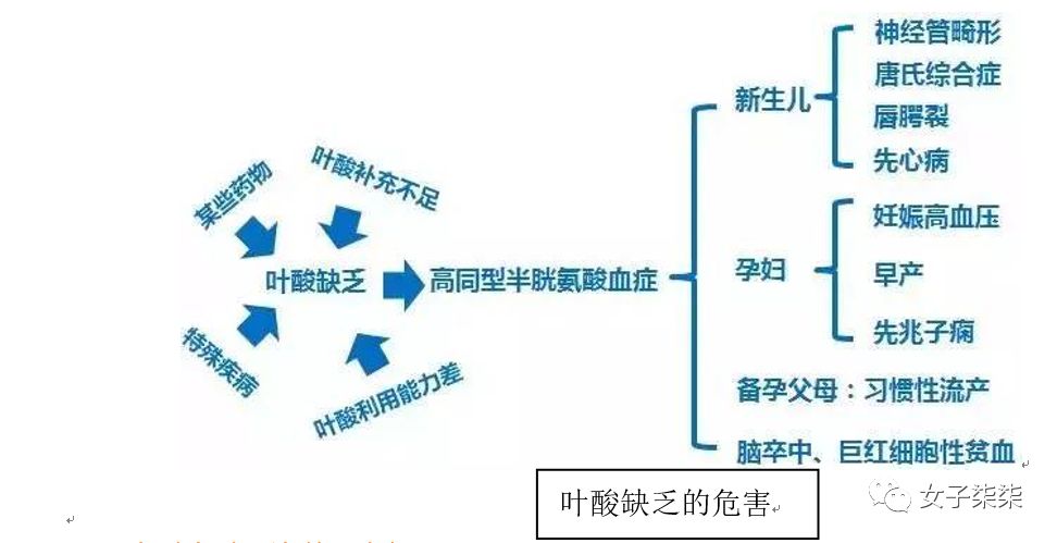 备孕吃叶酸还是复合维生素,备孕补充叶酸每天多少毫克