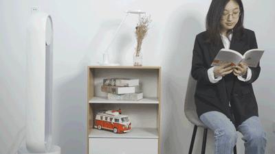 德国荣芝和戴森的无叶风扇哪个好,戴森无叶风扇为什么贵那么多