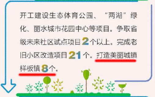 2019年7月20日丽水新闻,丽水新闻快讯