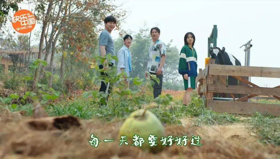 向往的生活带你体验乡间的路,向往的生活田园生活