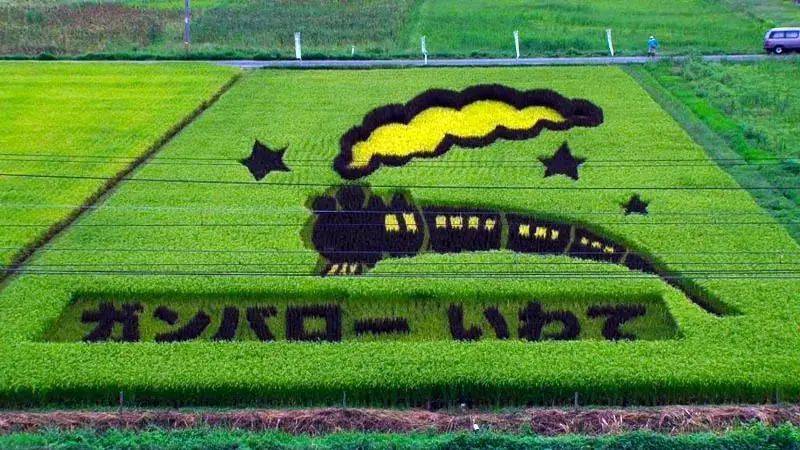 向往的生活带你体验乡间的路,向往的生活田园生活