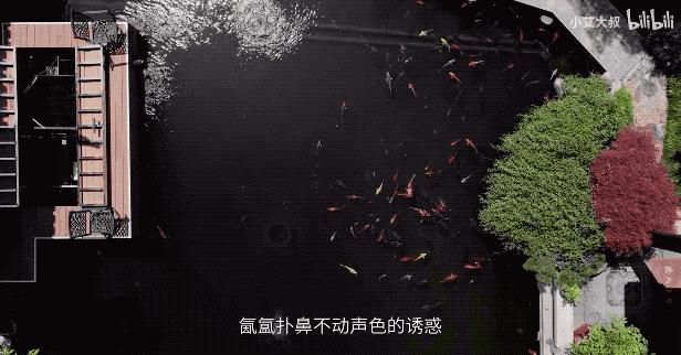 杭州1.6亿园林别墅，屏风值2辆特斯拉，千年家具堪比1套房，网友：这价格，值了