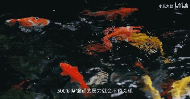 杭州1.6亿园林别墅，屏风值2辆特斯拉，千年家具堪比1套房，网友：这价格，值了