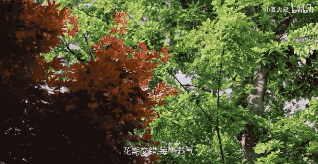 杭州1.6亿园林别墅，屏风值2辆特斯拉，千年家具堪比1套房，网友：这价格，值了