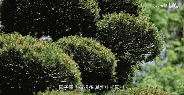 杭州1.6亿园林别墅，屏风值2辆特斯拉，千年家具堪比1套房，网友：这价格，值了