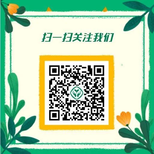 各省高考成绩查询时间一览表,新鲜出炉全国各地高考成绩查询
