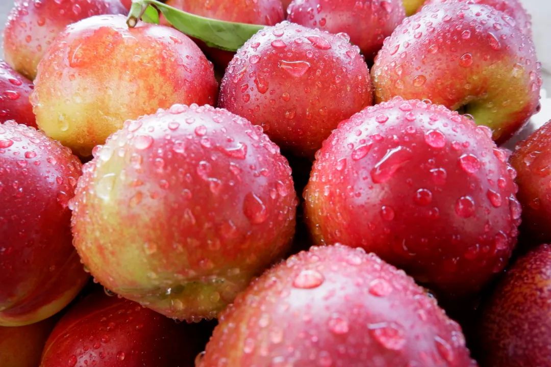 油桃汁水,黄心油桃5斤应季大桃子