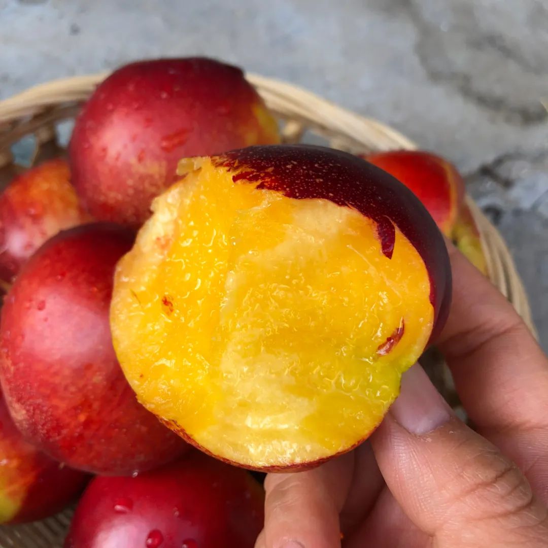 油桃汁水,黄心油桃5斤应季大桃子