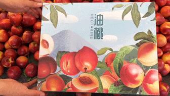 油桃汁水,黄心油桃5斤应季大桃子