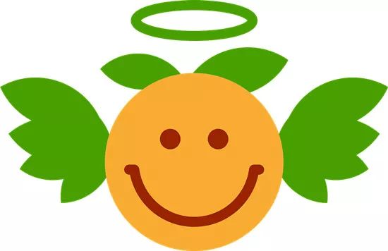 青海智慧法院怎么建设,青海智慧法院设计方案