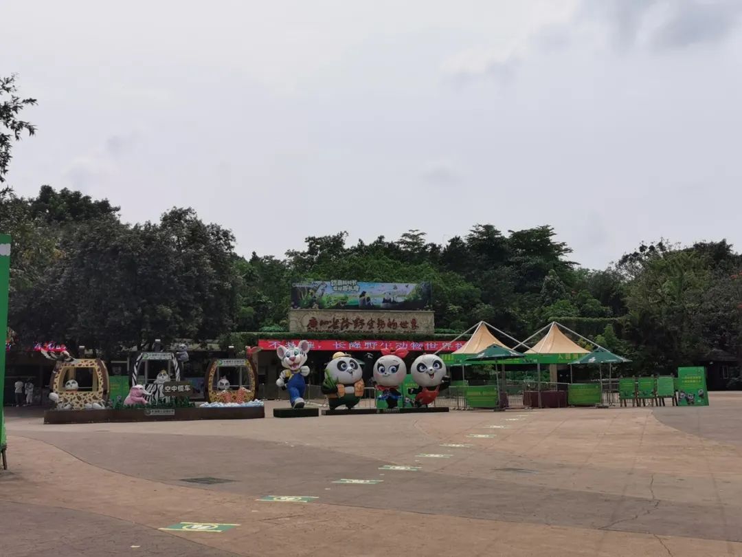 广州长隆野生动物世界何时建成,广州长隆野生动物园有白狮