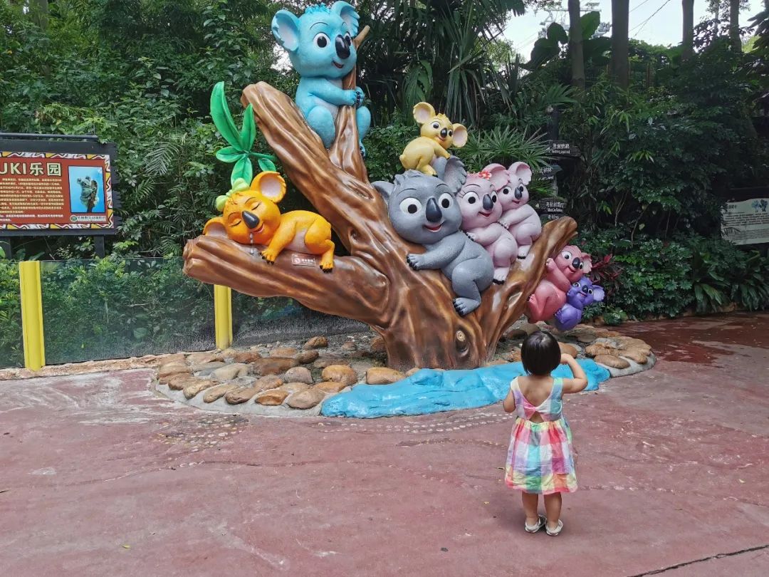 广州长隆野生动物世界何时建成,广州长隆野生动物园有白狮