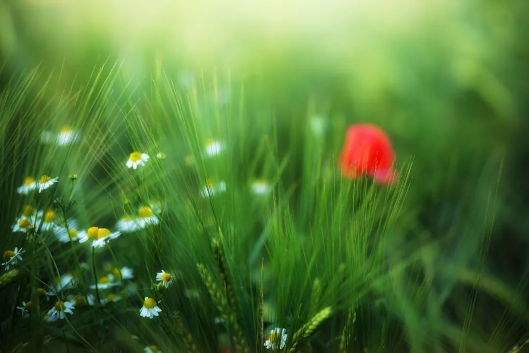 积极选择手术或有创性治疗方法|《更年期的智慧》第八章第6节