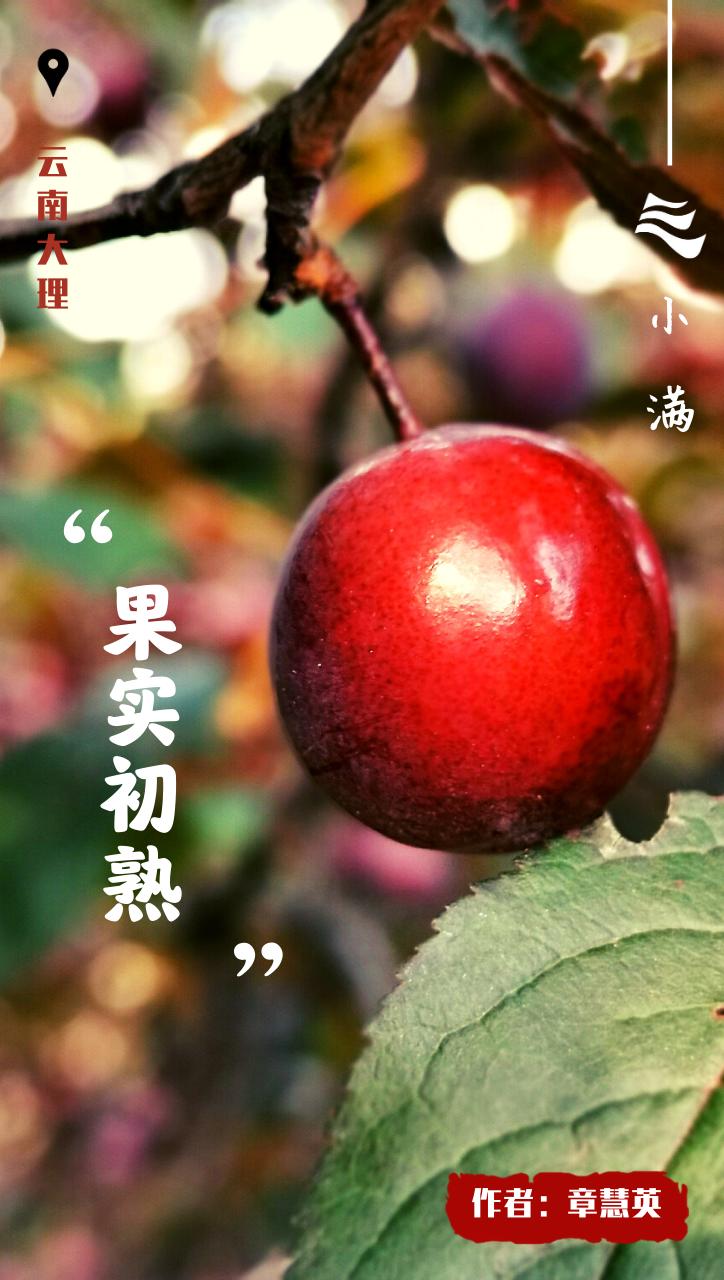 创意小满海报,小满海报设计