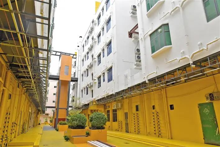 筑好巢方能引得雁归来,筑好巢才能引来金凤凰