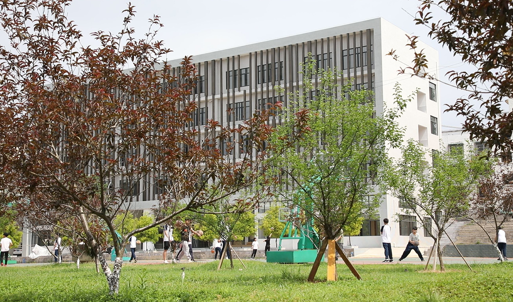 韶关南雄黄坑村：用教育为贫困户铺设“未来跑道”