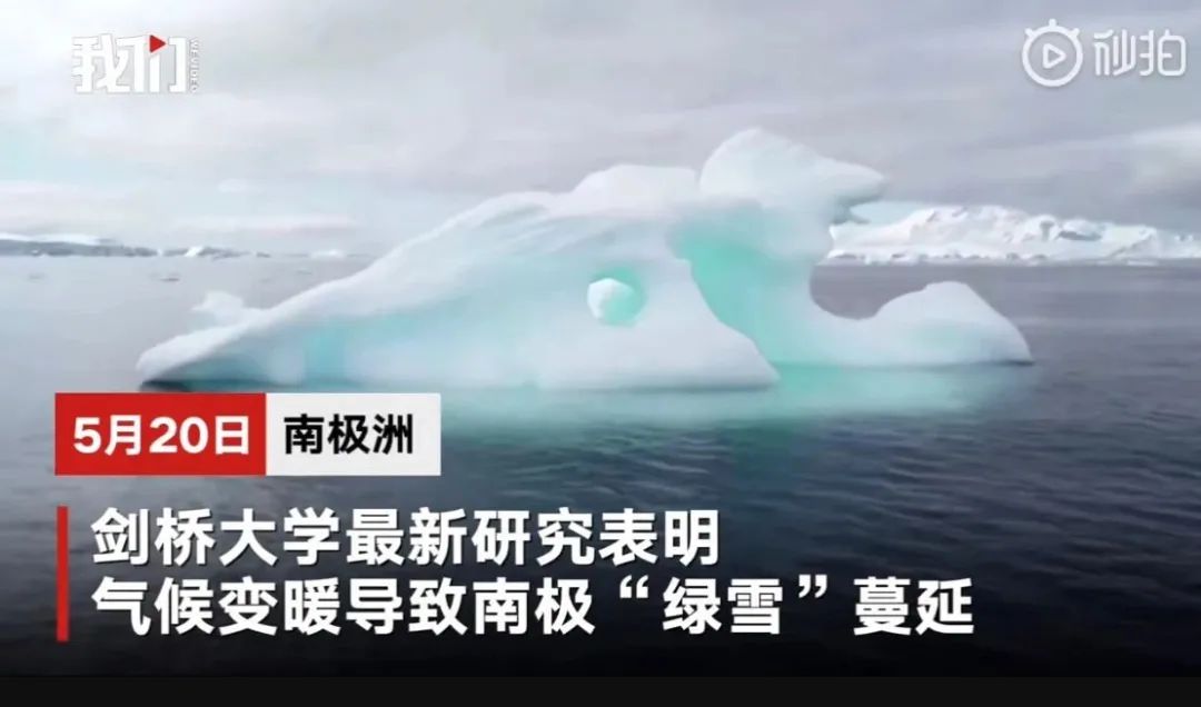 南极洲“绿雪”涌现，帝企鹅：泥土是什么？