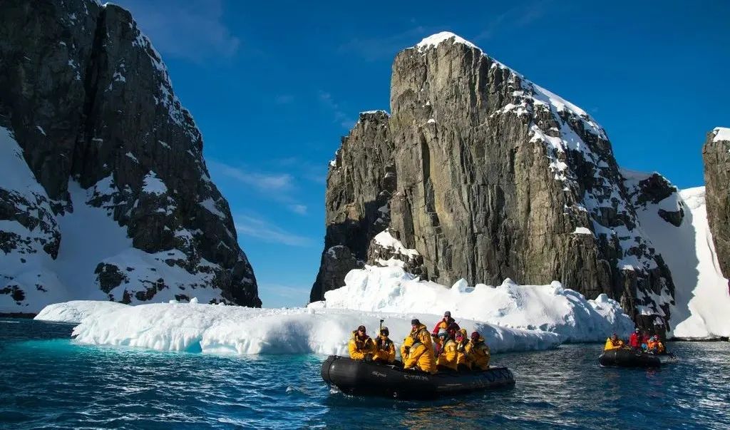 南极洲“绿雪”涌现，帝企鹅：泥土是什么？
