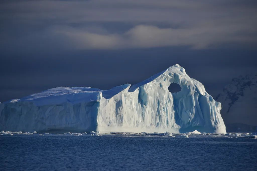 南极洲“绿雪”涌现，帝企鹅：泥土是什么？