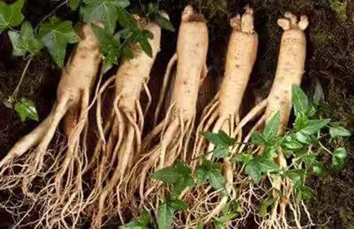 用什么洗脸抑制螨虫生长,用什么洗脸可以抑制螨虫生长