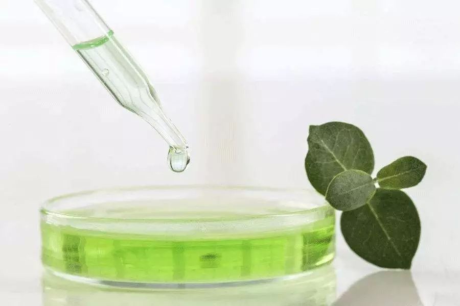 中年发福克星！冰爽+塑形+驱蚊，穿上躺着也能塑身