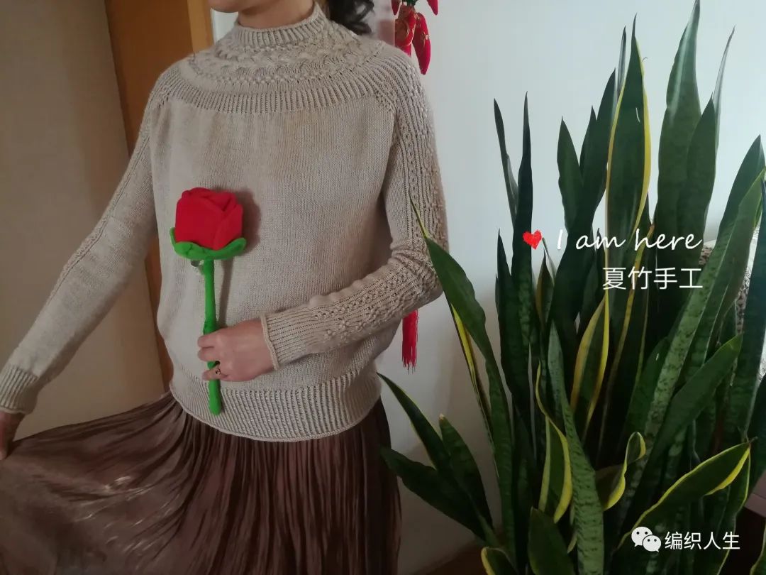 女士棒针斑马图案长袖套头毛衣,棒针套头毛衣从下往上织款式图解