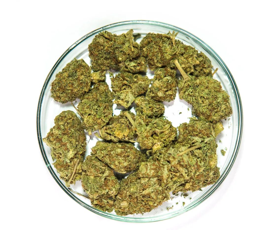 禁毒云课堂如何预防毒品,禁毒云课堂操作步骤