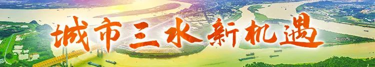 城市三水新机遇｜新乡村发展美丽经济打开湾区第二空间