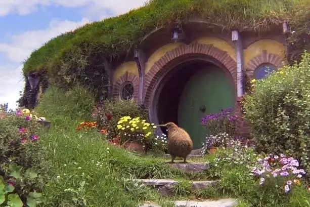 打气、示爱、放飞！最“抓眼球”的航司广告韵味十足