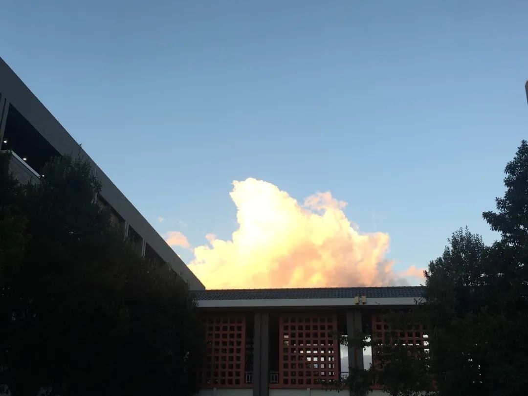 无声云南师范大学,母校云南师范大学