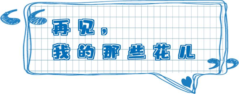 无声云南师范大学,母校云南师范大学