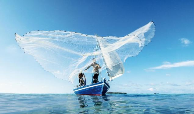 想买房的速速联系,想买房的人暂时别焦急