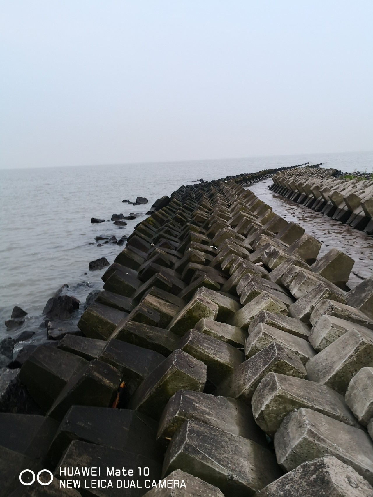 回复无疑是一种厚道，钓友在评论时也请少拍砖