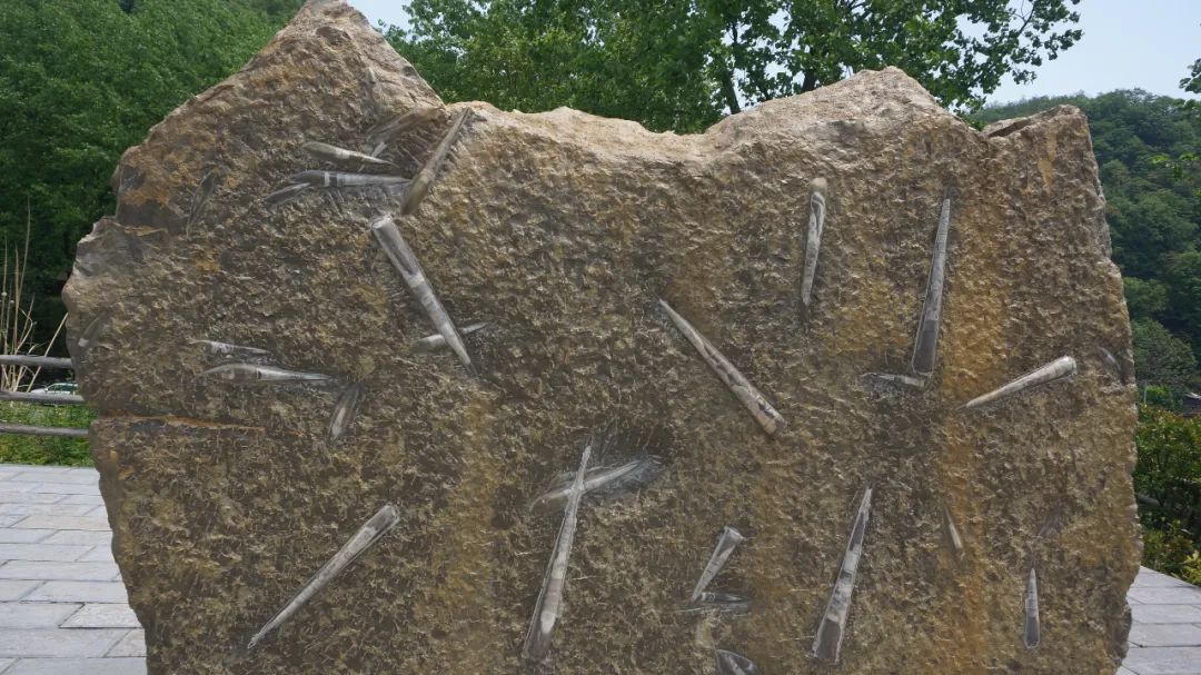 大朋友小朋友，六一去哪嗨？宜昌14家景区特惠福利来袭！