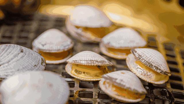 挖到马云同款海景酒店！人均300+住全庭院式房间，赠亲子下午茶