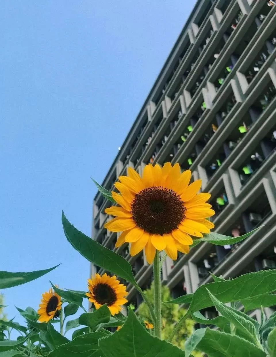 余杭景点打卡攻略旅游线路,余杭城西一日游攻略