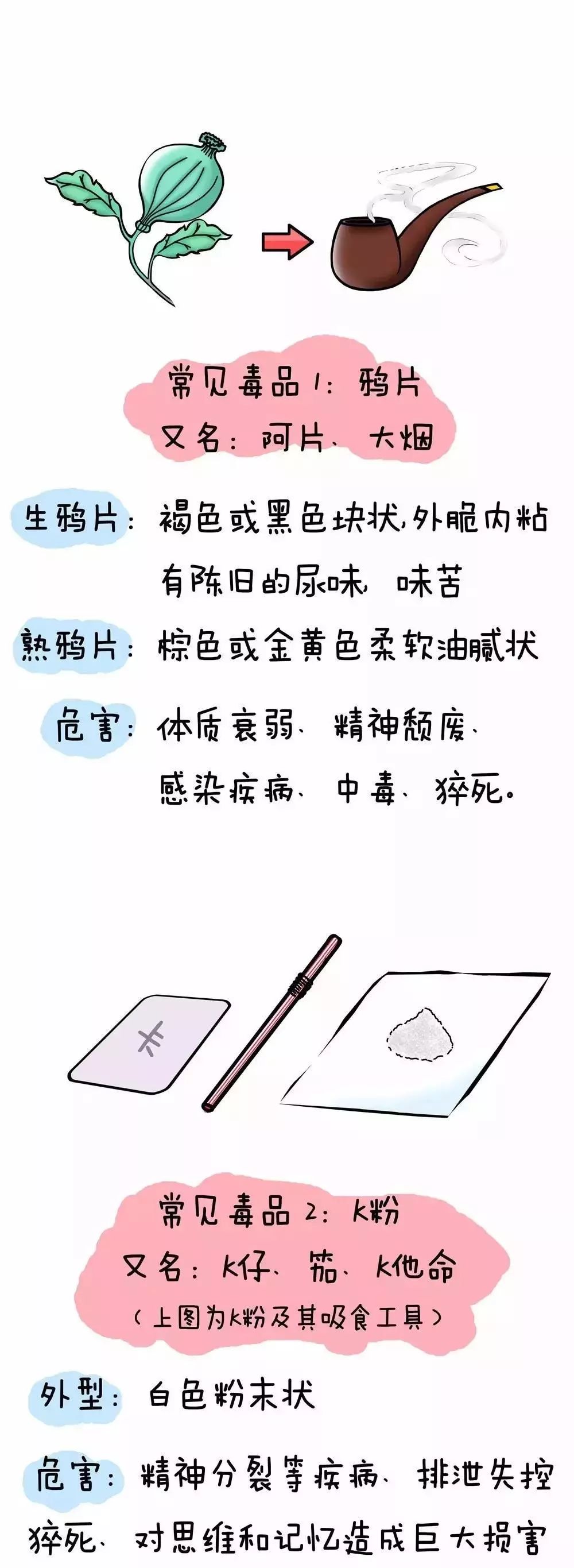 禁毒宣传月拒绝毒品了解禁毒知识,禁毒珍爱生命远离毒物