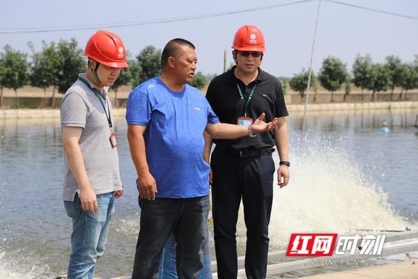 一条水槽养鱼3万斤，这个“贫困户”实现年收入3万多