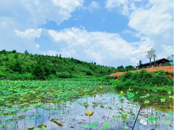 暑假肇庆旅游攻略,带上行囊出发吧