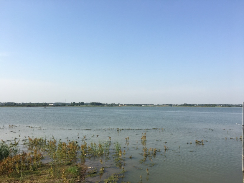 山湖水库迎风甩大鞭，没点技术怎么擒住斤翘