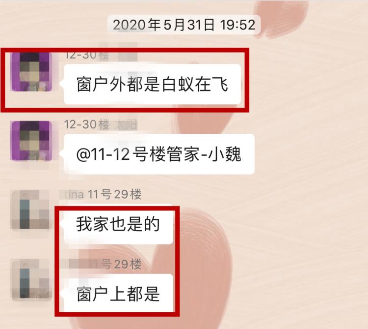 白蚁上门防治方法,上门白蚁防治办法