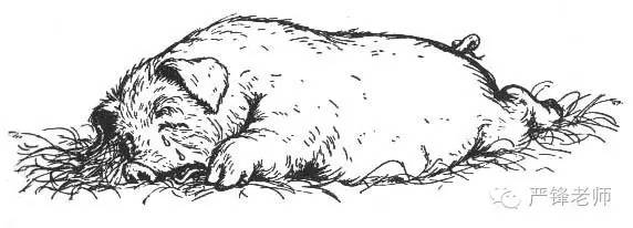 严锋的书单推荐,严锋必读书