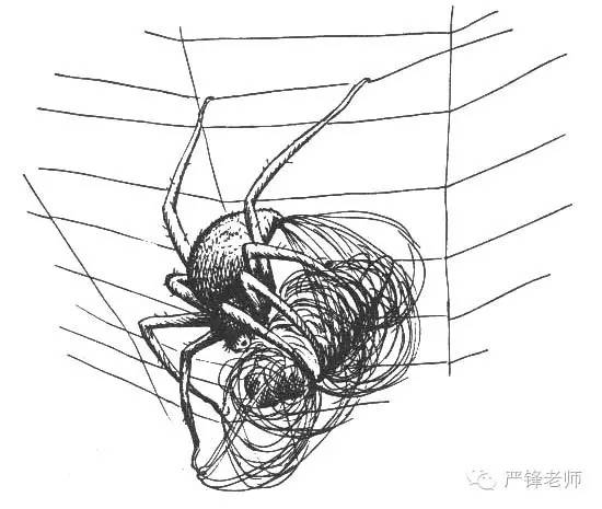 严锋的书单推荐,严锋必读书