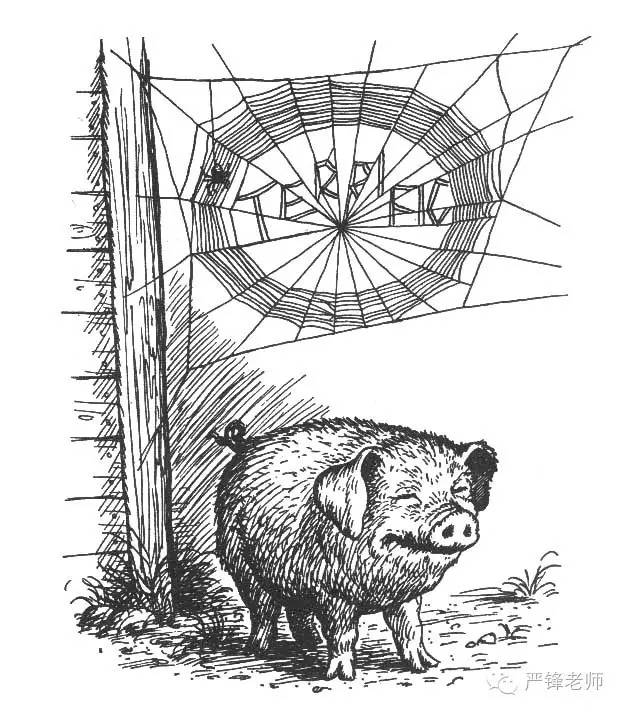 严锋的书单推荐,严锋必读书