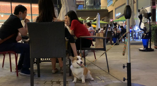 穷游郑州的10个必去打卡点,郑州夜景打卡必去的地方